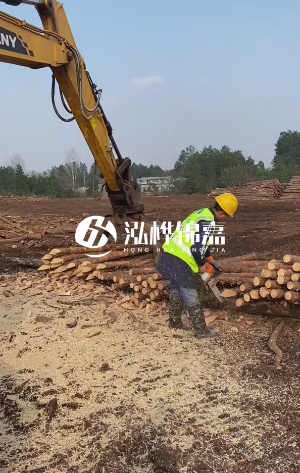 滁州挖機(jī)打木樁專業(yè)施工-河道打木樁與河岸加固關(guān)系？