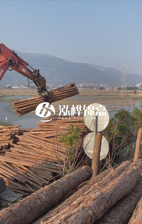 松木樁是否需要削皮呢？松木樁為什么不會爛掉呢？