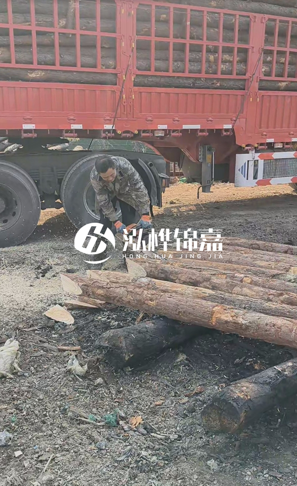 2米松木樁多少錢一根？15-20CM直徑價格是多少？