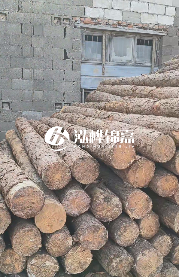 3米松木樁多少錢一根？14公分松木樁價格是多少？