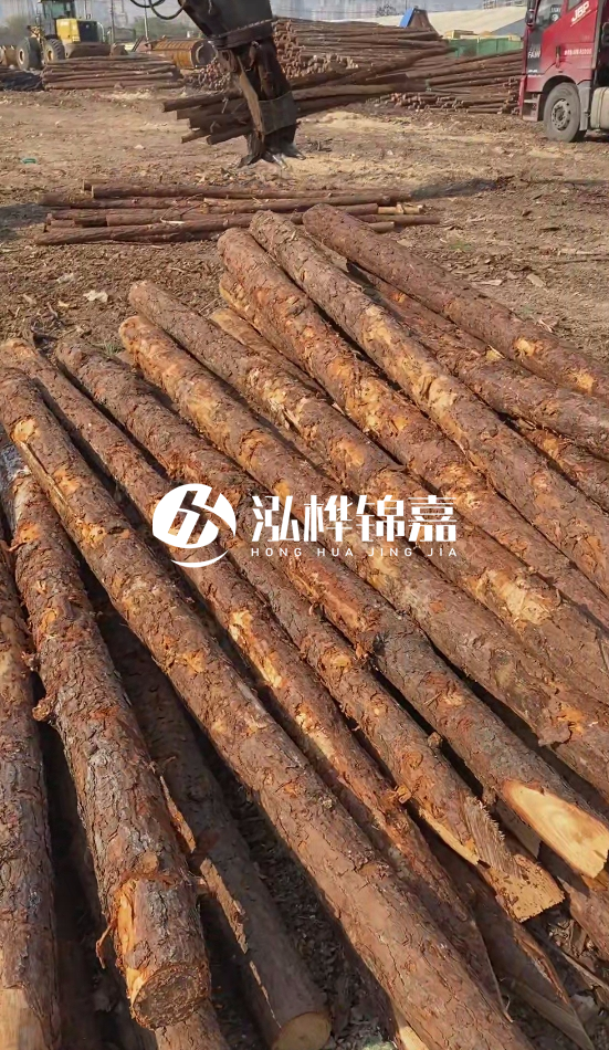 4.5米松木樁直徑14一根多少錢？5米14厘米多少錢？