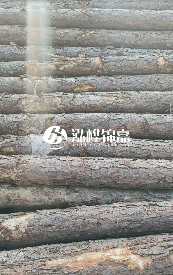 松木樁5米100mm一根多少錢-5米140mm多少錢？