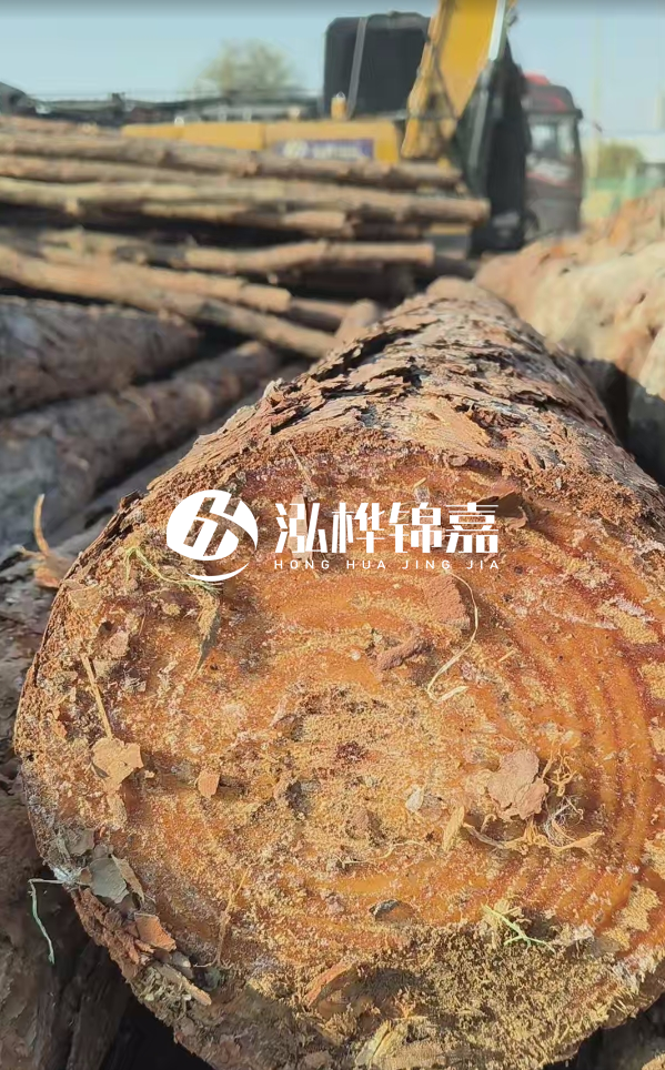 杉木樁價(jià)格多少錢一方-3米直徑14公分杉木樁價(jià)格？