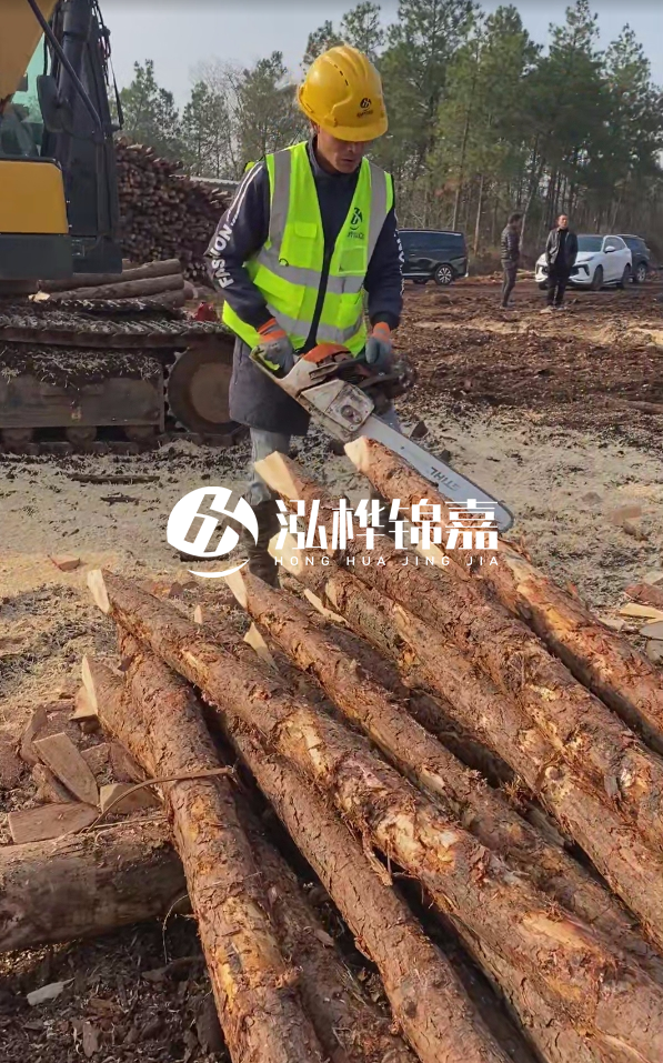 松木樁樁長(zhǎng)1.5米稍徑12多少錢一根？樁長(zhǎng)1.5米稍徑12大頭多少？