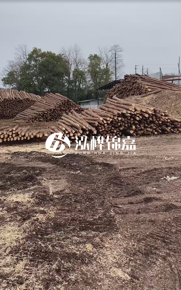 山西打松木樁廠家電話是多少？滿(mǎn)多少根可以接？