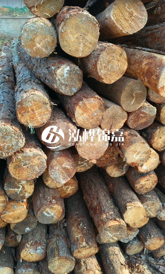 油松3米12公分多少錢(qián)一根？油松4米12公分多少錢(qián)一根？