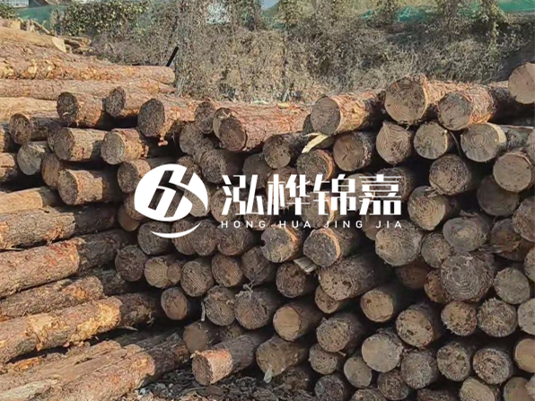 落葉松木材的主要產(chǎn)地在哪里？為什么比其他松木更耐腐蝕？