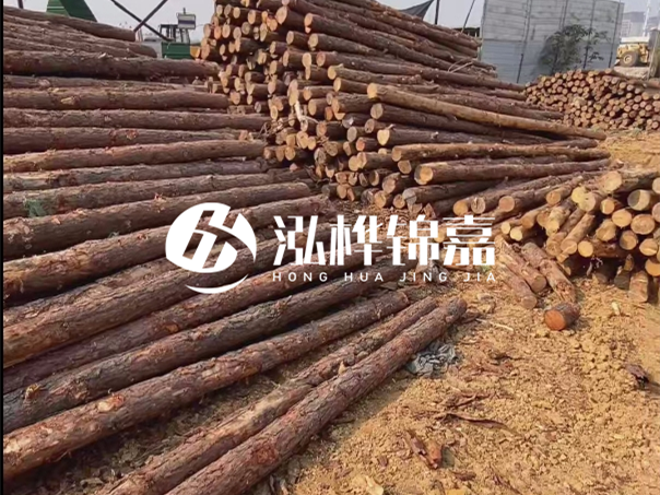 河道木樁施工遇到淤泥怎么辦？打多深才能防沖刷？