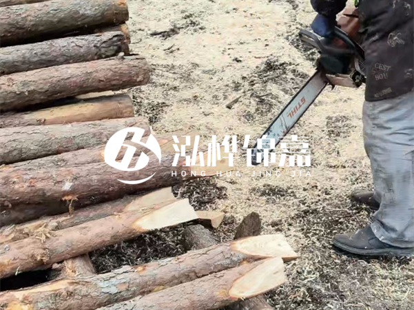 杉木樁批發(fā)廠家哪家好？產(chǎn)地直供渠道推薦！