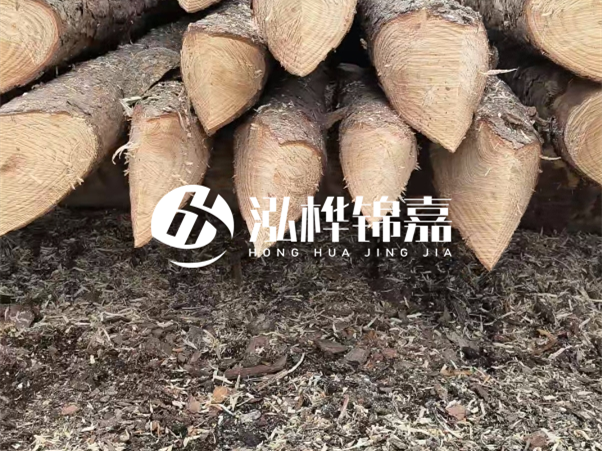 打樁木樁與鋼樁相比有哪些優(yōu)缺點(diǎn)？如何進(jìn)行后期維護(hù)？