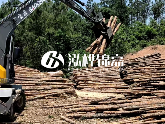 3米松木樁小頭10公分多少錢一根？大頭10公分又是多少錢？