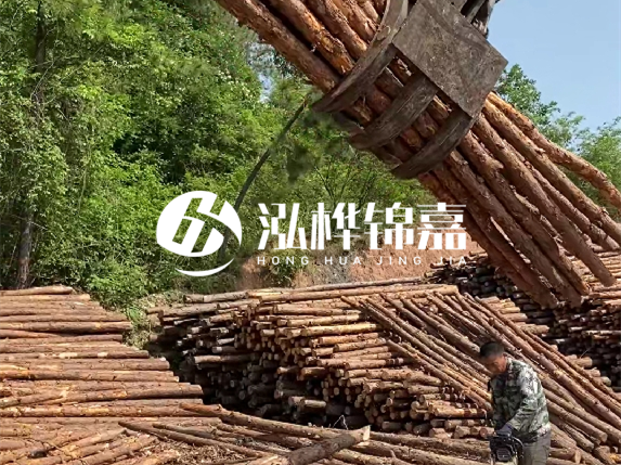 哪里能買到優(yōu)質(zhì) 3 米松木樁？長(zhǎng)沙有松木樁批發(fā)工廠嗎？