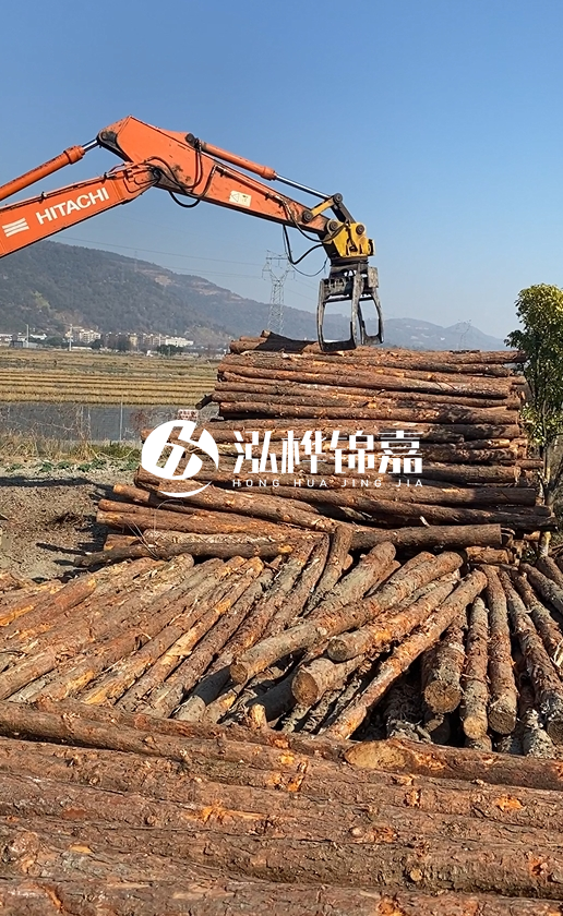 帶皮松木樁的防腐效果如何？和不帶皮松木樁價格差異有多大？