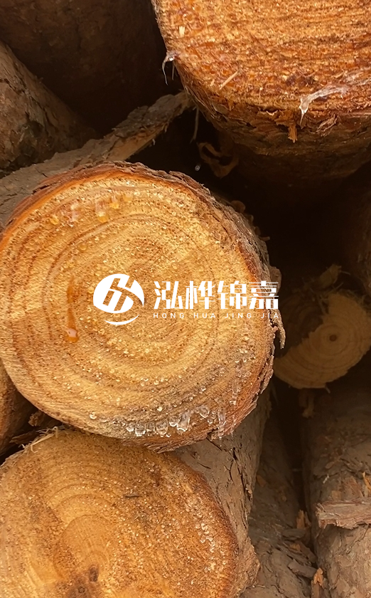 江西打樁木源頭廠家泓樺錦嘉-4米松木樁頭徑18cm多少錢？