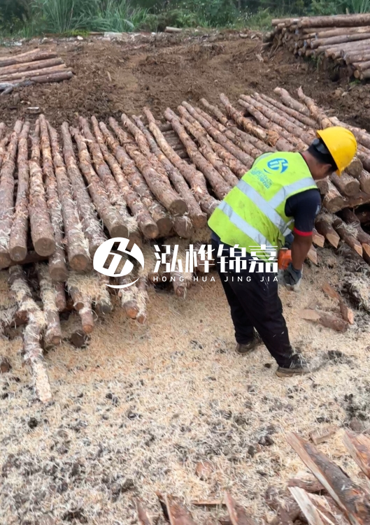 江蘇打樁木源頭廠家泓樺錦嘉-2.5米大頭10CM多少錢(qián)一根？