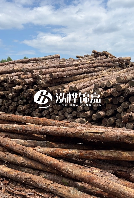 福建松木樁源頭廠家泓樺錦嘉-4.5米松木樁大頭15CM多少錢(qián)？
