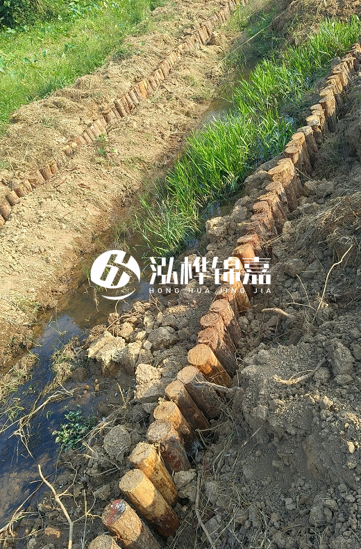 湖南松木樁批發(fā)廠家直銷-松木樁做碳化多少錢一根？