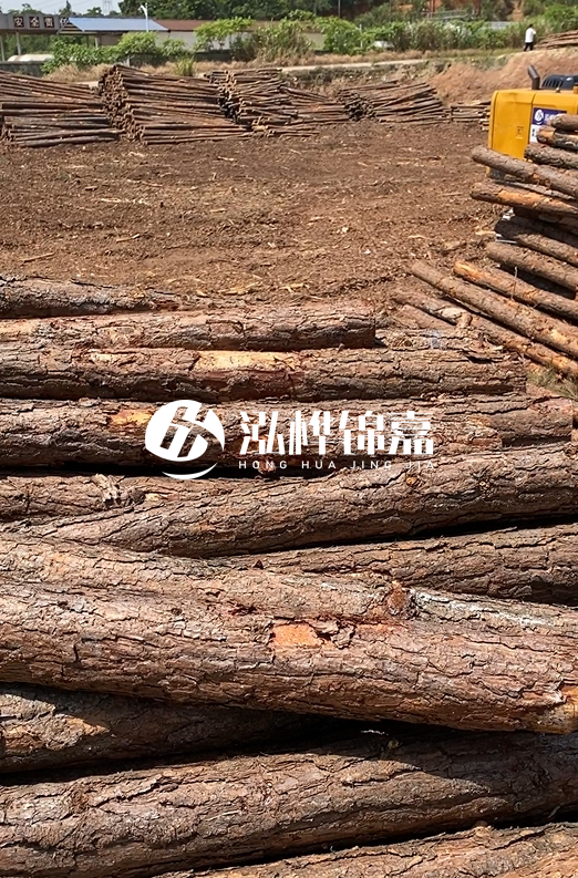 陜西河道木樁源頭廠家泓樺錦嘉-3米大頭11-13厘米多少錢一根？