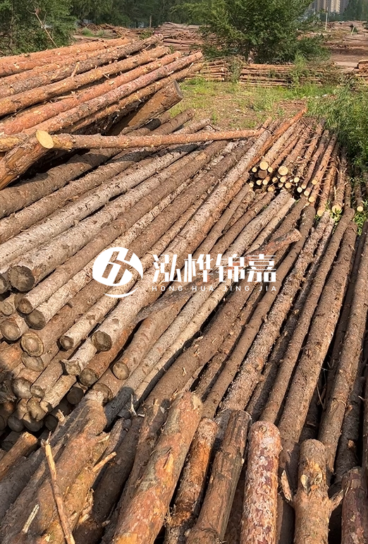 如何選擇合適的松木樁廠家？采購(gòu)松木樁需要考慮的因素有哪些？