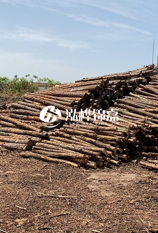 3.5米松木樁單價(jià)含稅怎么計(jì)算？碳化處理成本增加多少？