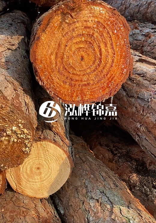 江西河道打樁木廠家泓樺錦嘉-河道打樁木如何避免中間商？