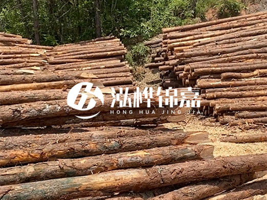 松木樁的運(yùn)輸費(fèi)用是否包含卸車費(fèi)？卸貨時(shí)需要注意哪些安全問(wèn)題？