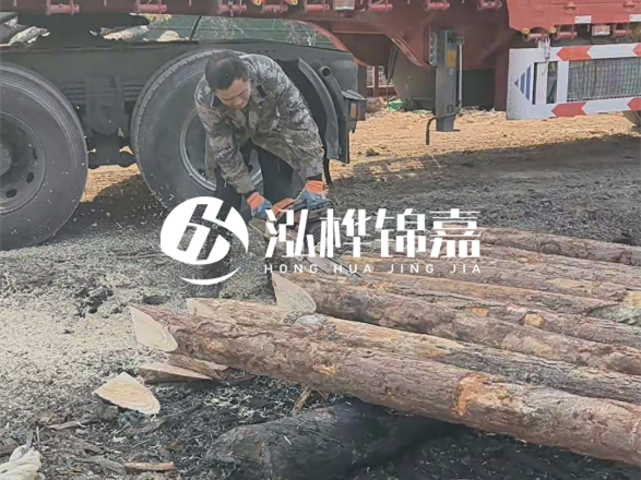 松木圓木價(jià)格大概多少一方-松木樁廠家按方可以賣嗎？