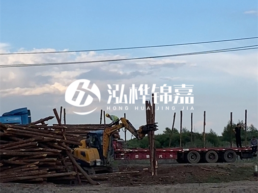 河北打樁木源頭廠家泓樺錦嘉 - 北方常用打樁木是什么？