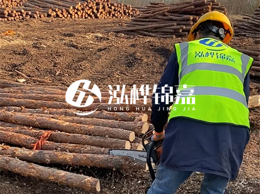 哪些木樁廠家能提供快速定制服務(wù)？哪些木樁廠家在國內(nèi)有多個(gè)生產(chǎn)基地？