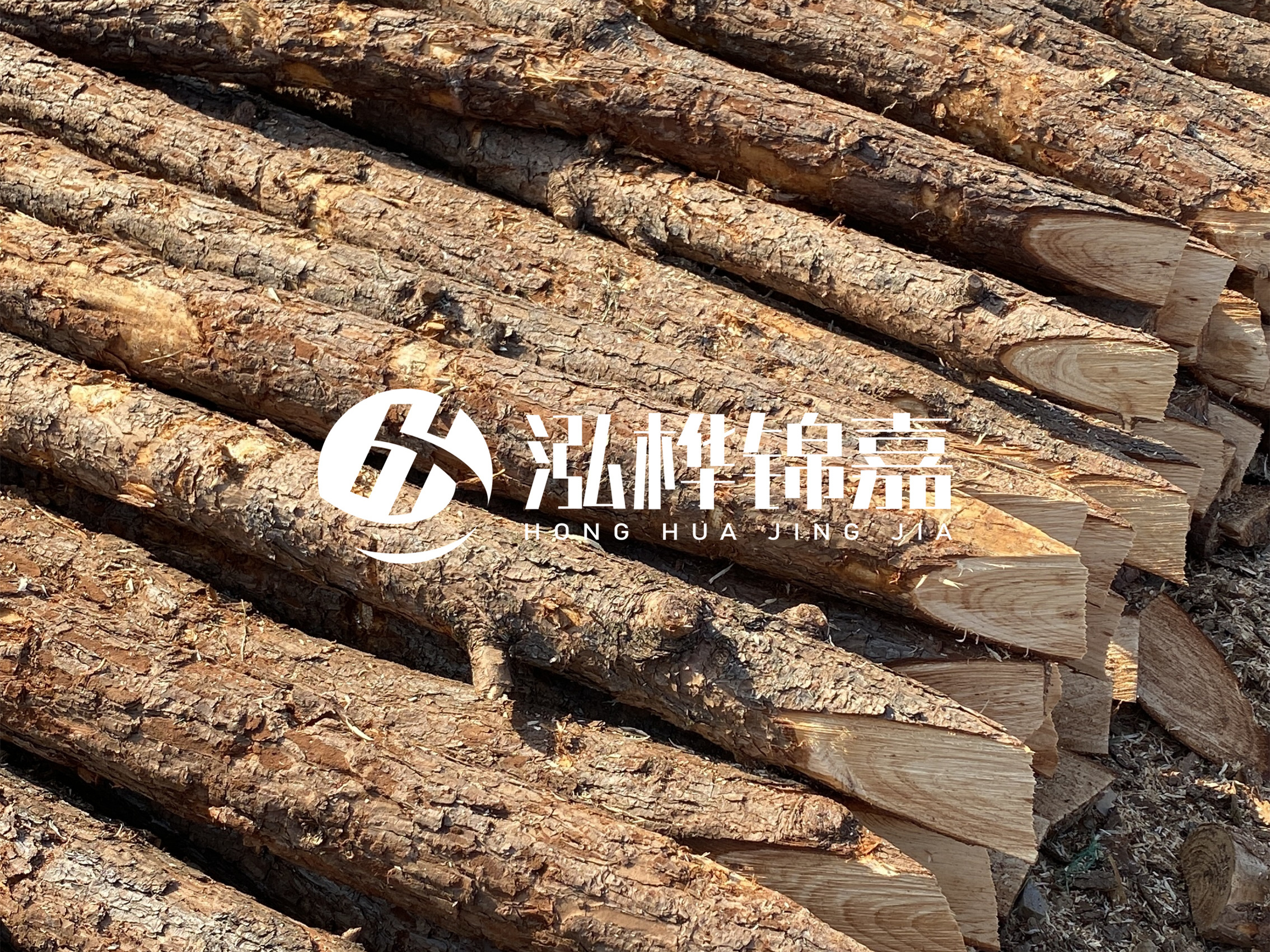 8 米超大直徑松木樁的價(jià)格是多少？帶皮和去皮松木樁價(jià)格差多少？