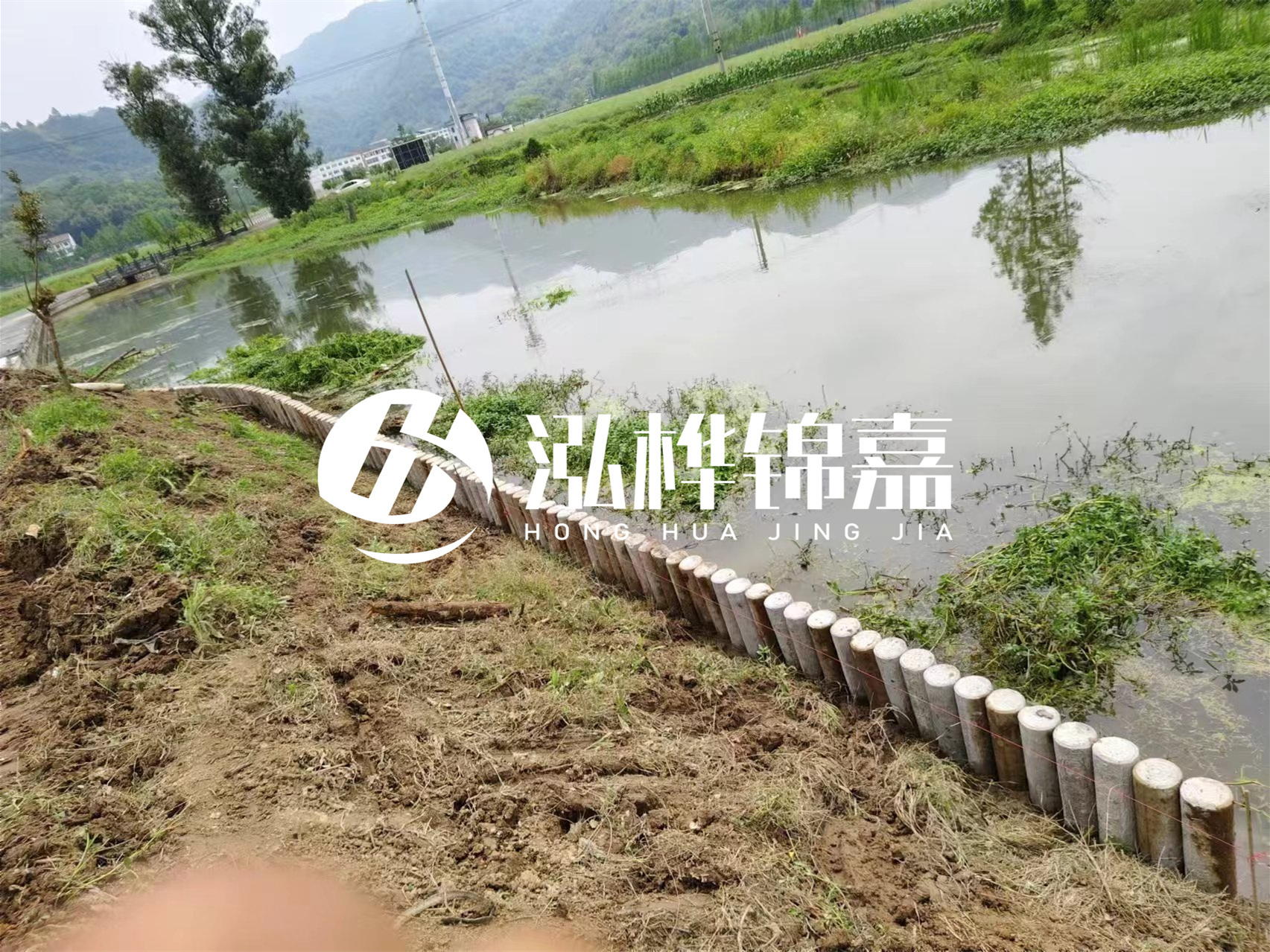 松木樁加固河道與水泥樁對(duì)比如何？哪一種更加適合您？