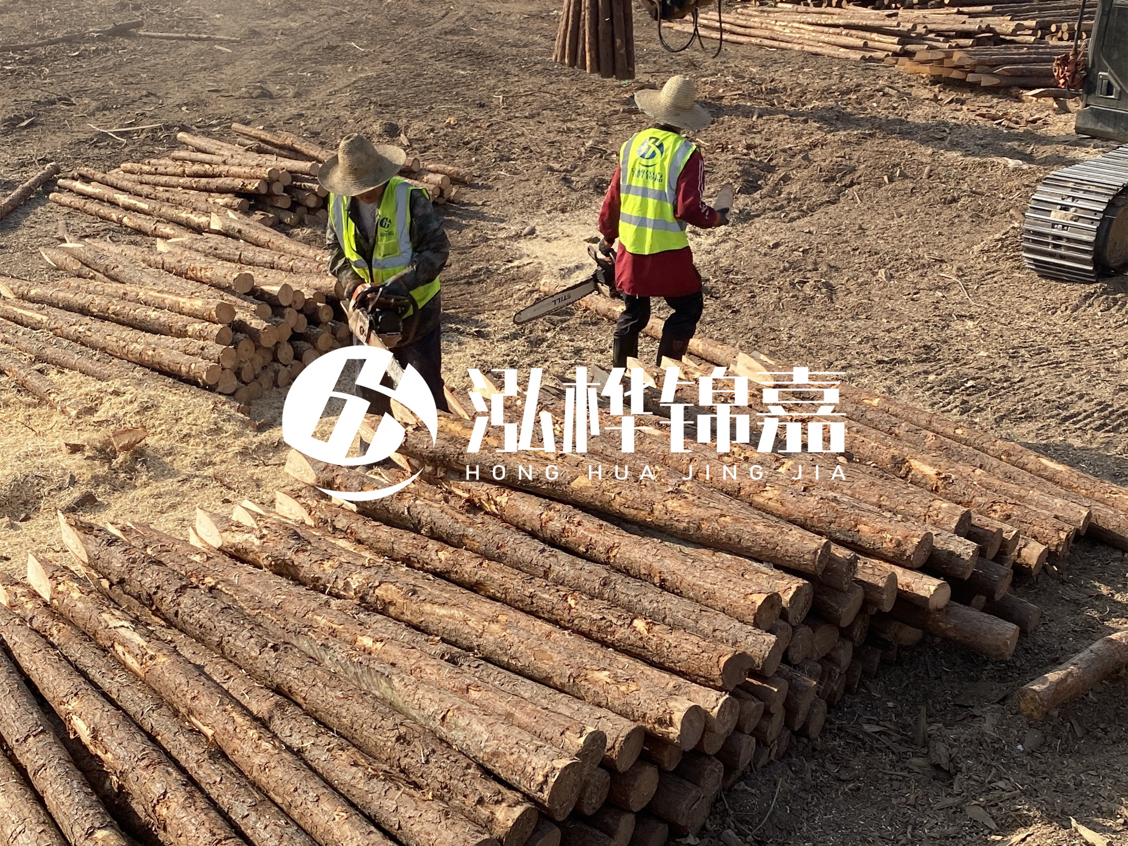 河道木樁報(bào)價(jià)在汛期前后會(huì)有波動(dòng)嗎？什么時(shí)候買最便宜？