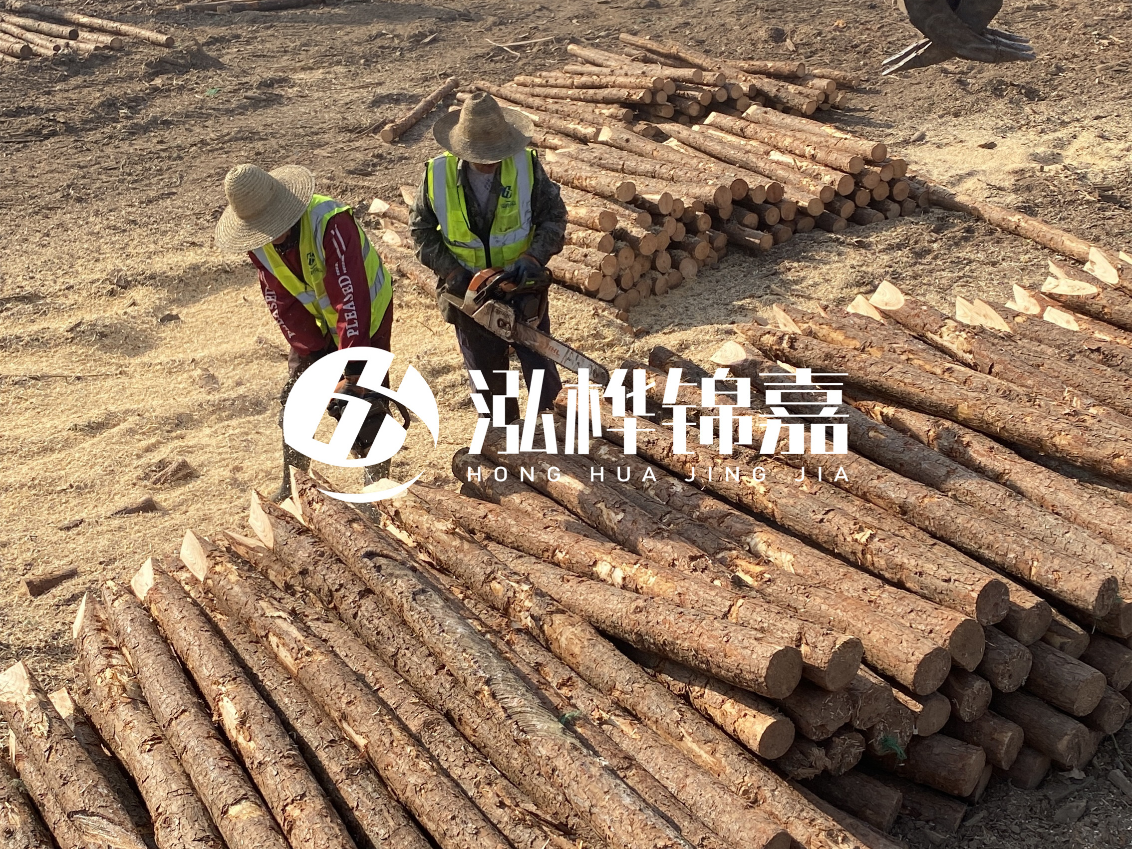 河北打樁木廠家主要生產(chǎn)哪些材質(zhì)的打樁木？產(chǎn)品有哪些規(guī)格？