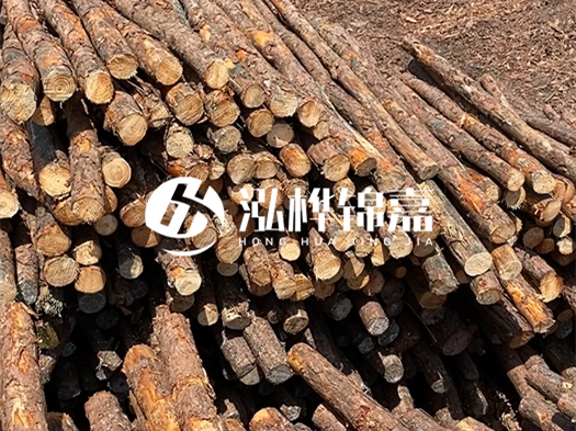 江西有哪些松木樁生產(chǎn)廠家？松木樁廠在什么位置？