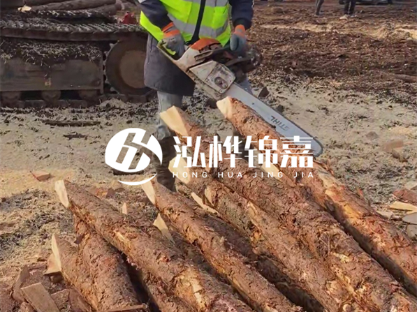 松木樁河道護(hù)坡怎么施工？打樁多少錢(qián)一根？