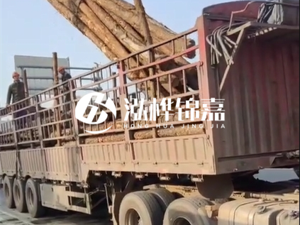 4米長杉木10公分價格-4.5米直徑15cm 杉木多少錢？