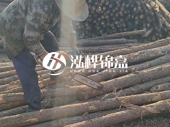 廣東打樁木源頭廠家泓樺錦嘉 - 如何選擇適合特定邊坡的松木樁？