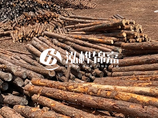 浙江打樁木源頭廠家泓樺錦嘉-松木廠家批發(fā)電話地址？