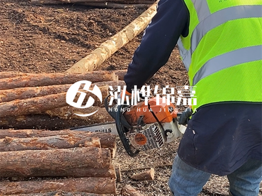 河道打木樁多少錢一根？5米直徑10松木樁打樁多少錢？