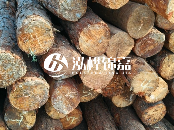 廣東松木樁源頭廠家地址在哪里-泓樺錦嘉屬于什么檔次？