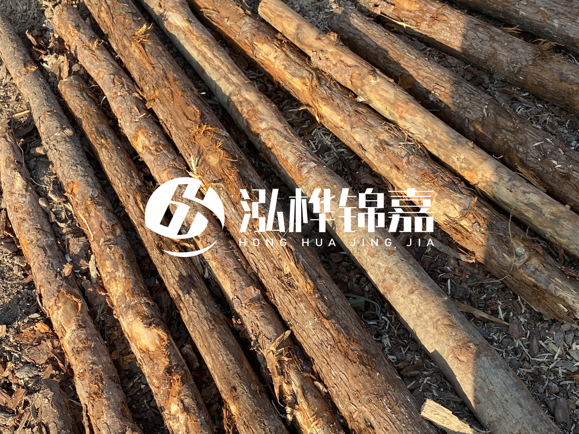 河道木樁多少錢一根？河道木樁的使用以及保養(yǎng)方法?