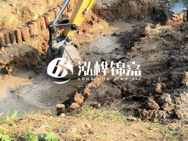 廣東松木樁批發(fā)廠家 - 3 米小頭 8CM 松木樁多少錢？