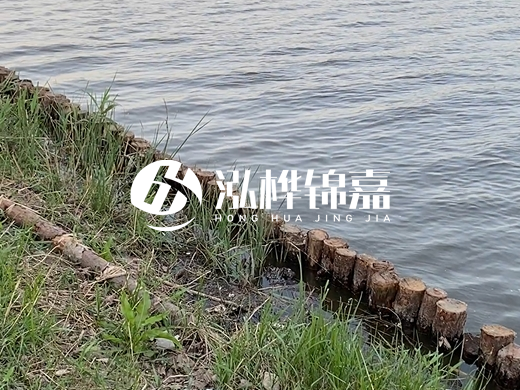 防洪松木樁施工重要性？河道打木樁的位置怎么確定？