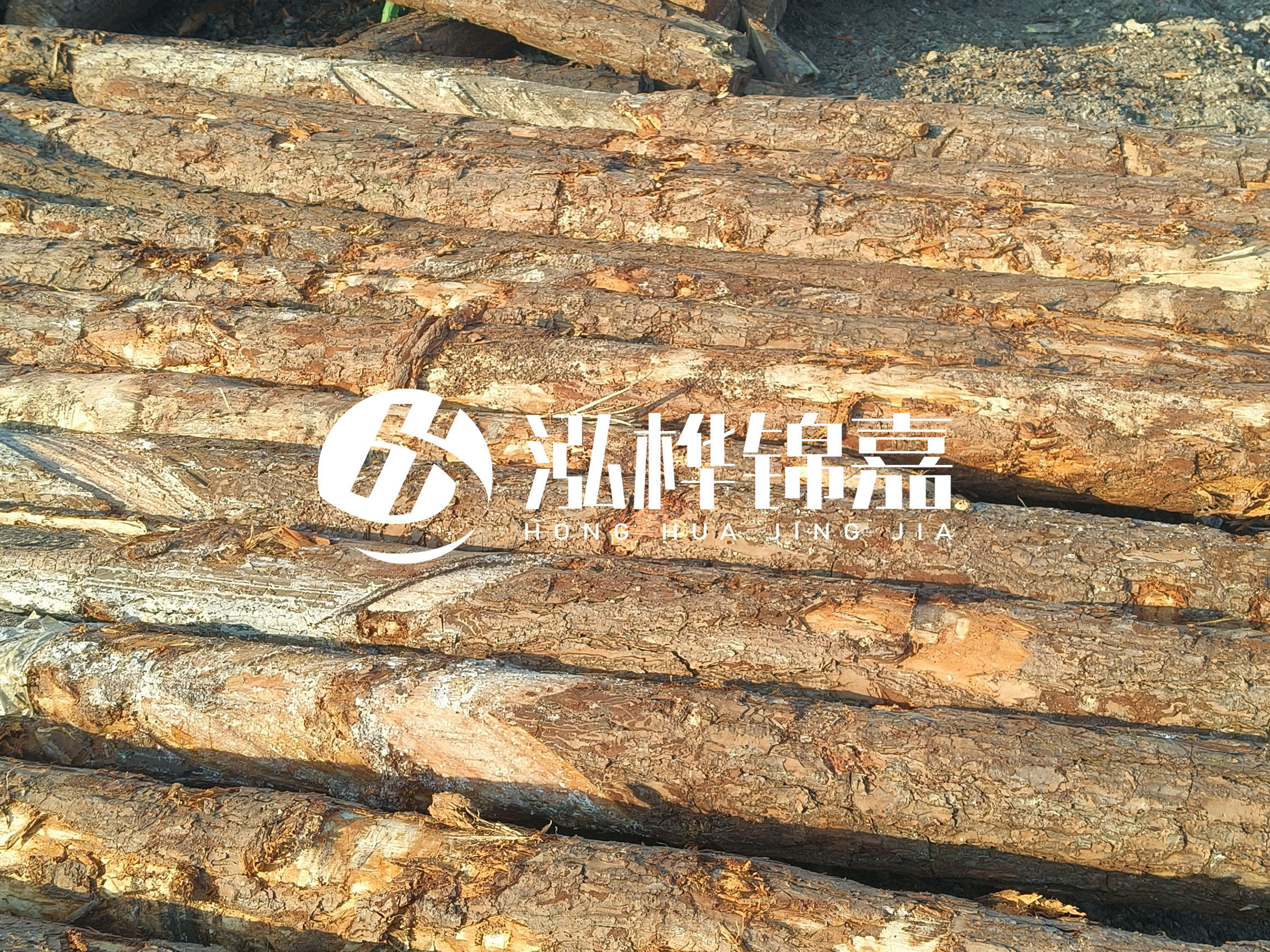 河道木樁的含水率過高會有什么問題？怎么檢查松木樁含水率？