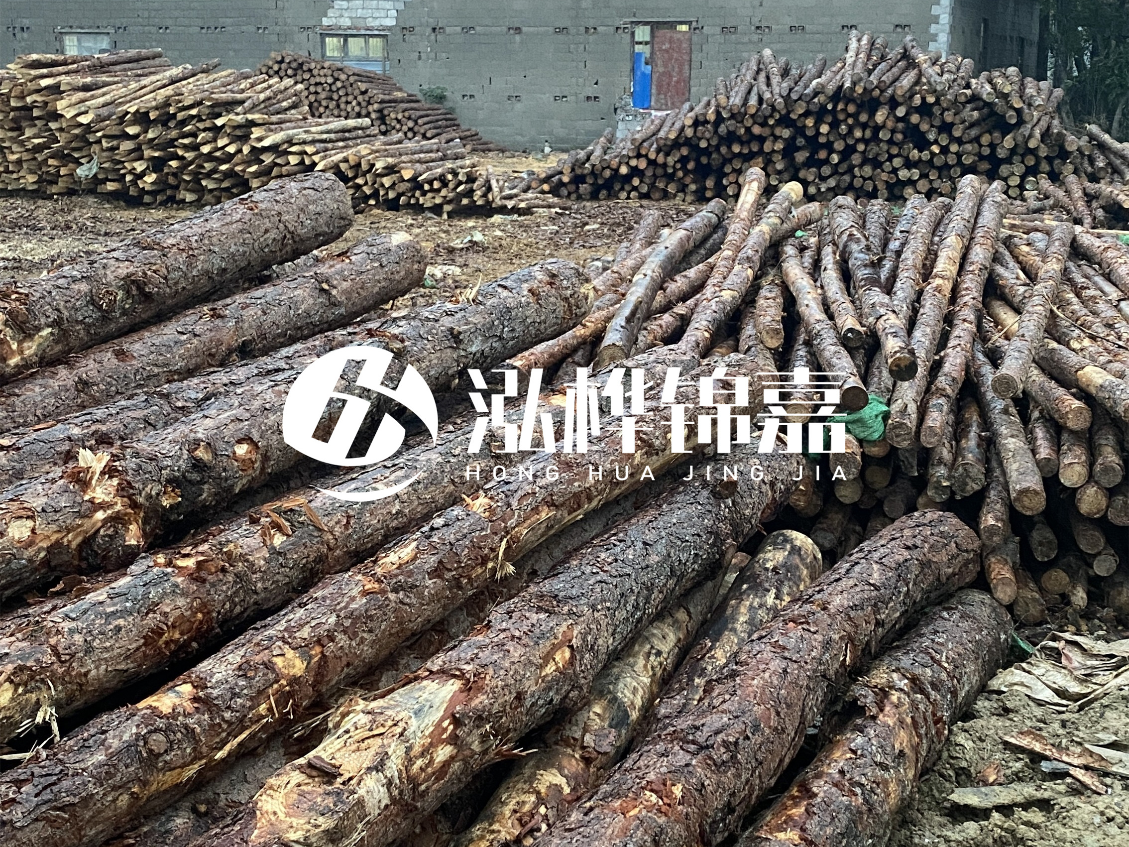 松木樁批發(fā)廠家泓樺錦嘉 - 河道松木樁如何選擇優(yōu)質(zhì)木材？