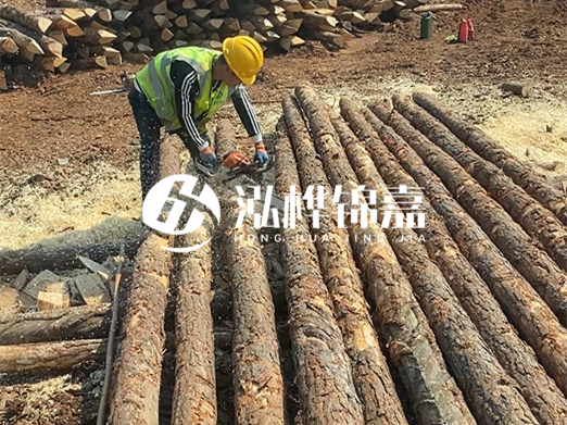 松木樁批發(fā)廠家泓樺錦嘉-河道打樁木施工中怎么防止樁頭被打壞？