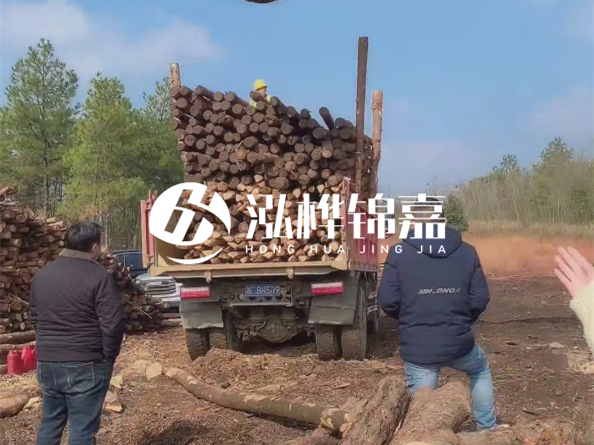 松木樁廠(chǎng)家泓樺錦嘉-存放超過(guò)半年的原木松木樁還能用嗎？