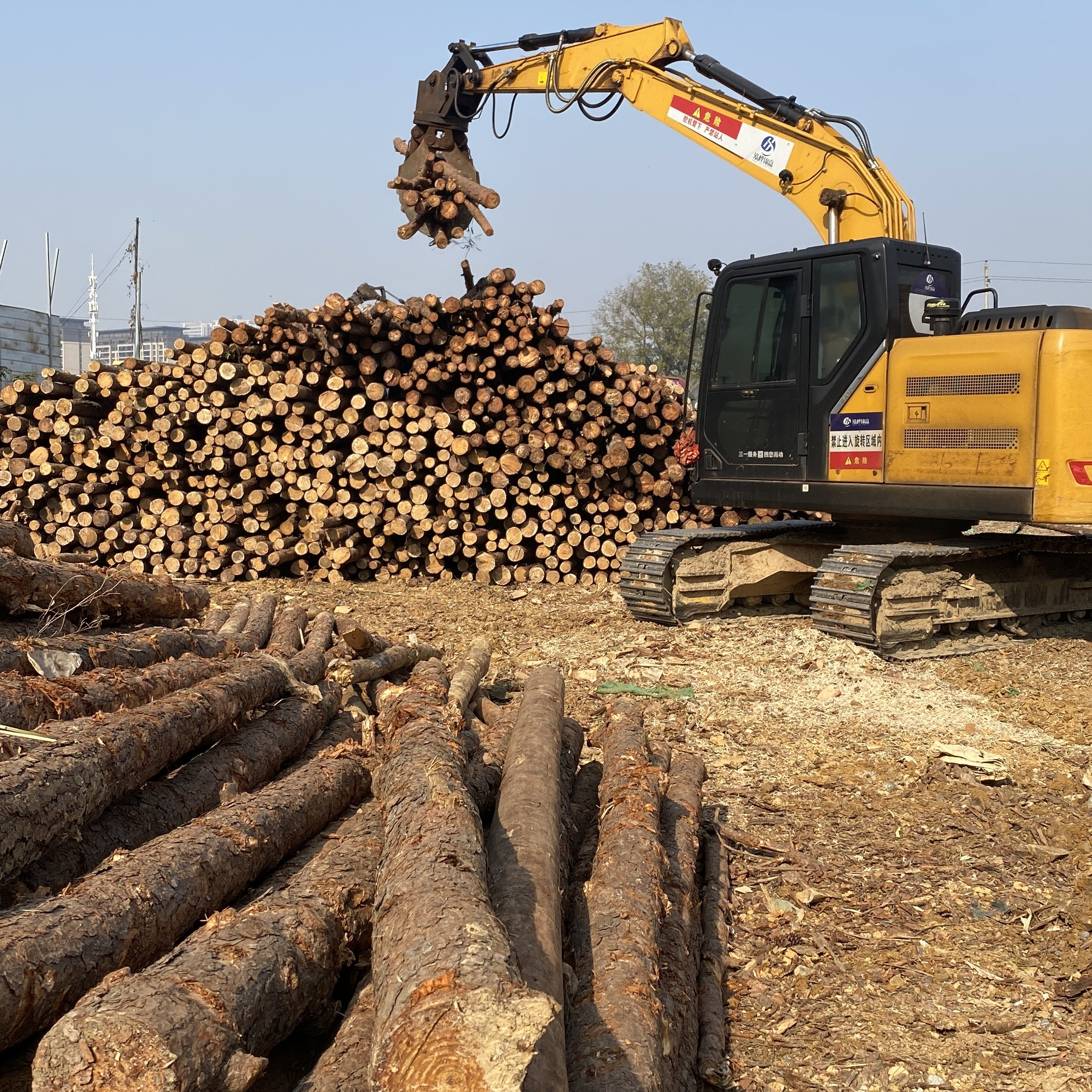 松木樁廠家泓樺錦嘉-濕地松原木的價(jià)格大概是多少？