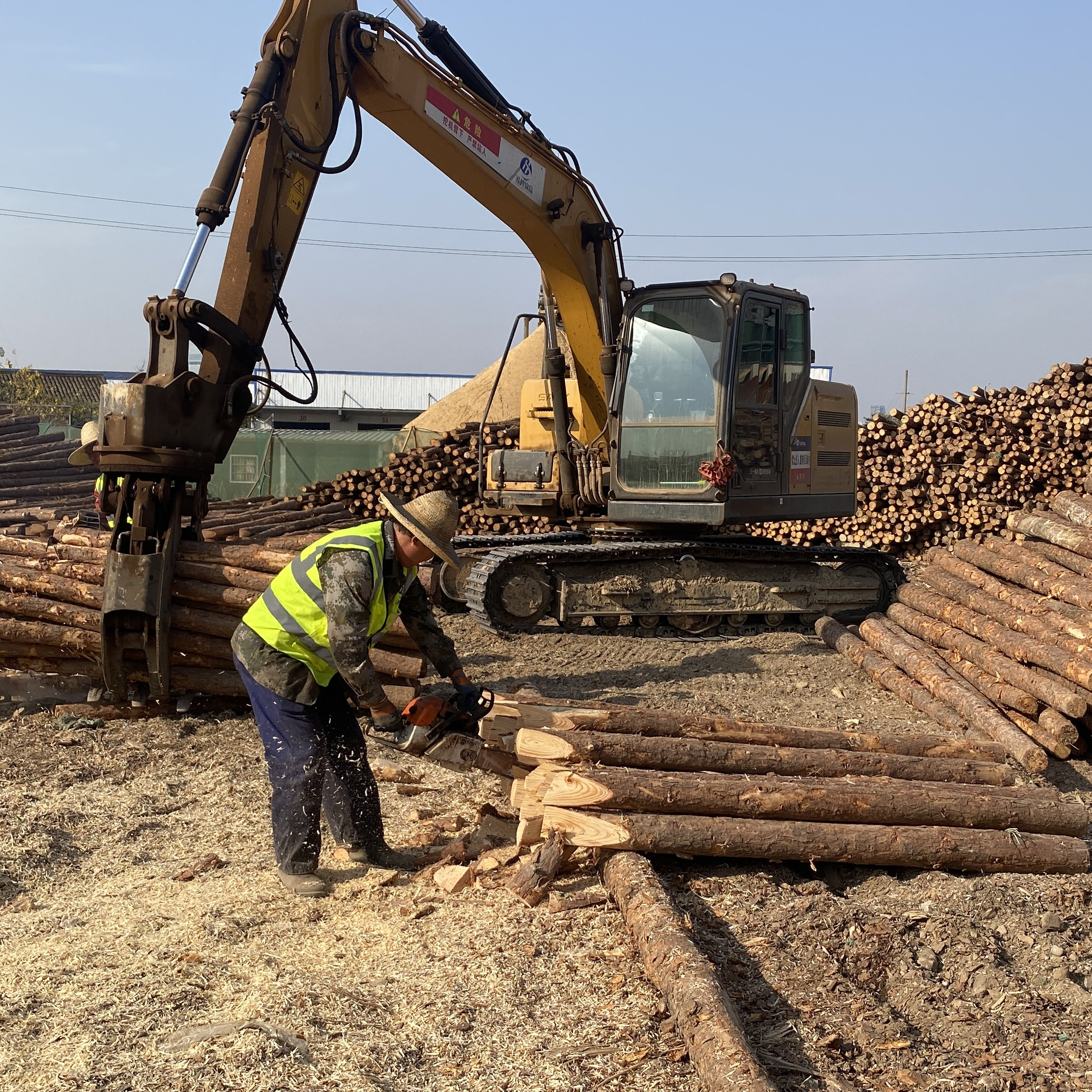 松木樁廠家泓樺錦嘉-工程打樁木選擇落葉松還是濕地松更耐腐蝕？
