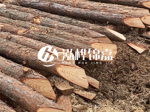 松木樁廠(chǎng)家泓樺錦嘉-河道兩邊打樁是干嘛的？
